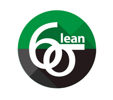 Lean Six Sigma Combo
